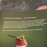 Hummingbirds: Marvels of the Bird World