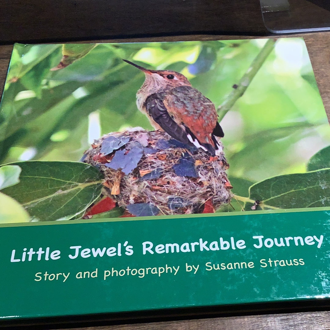 Little Jewel's Remarkable Journey Cabot's Museum Trading Post