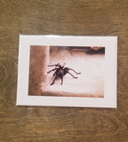 Note card by Tom Forgrave