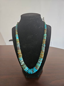 Graduated Turquoise