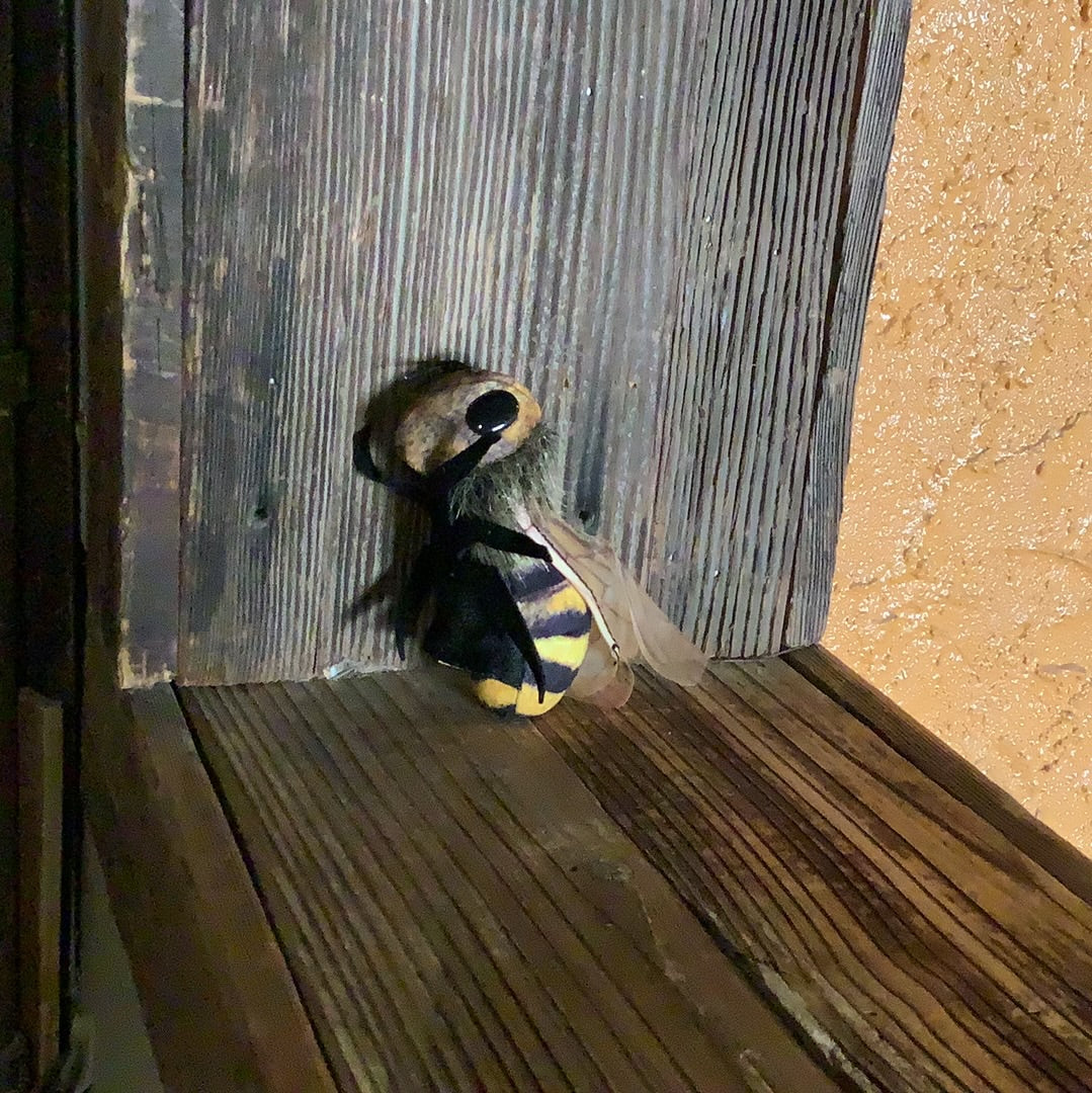 Mini Bee – Cabot's Museum Trading Post