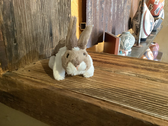 Mini Bunny