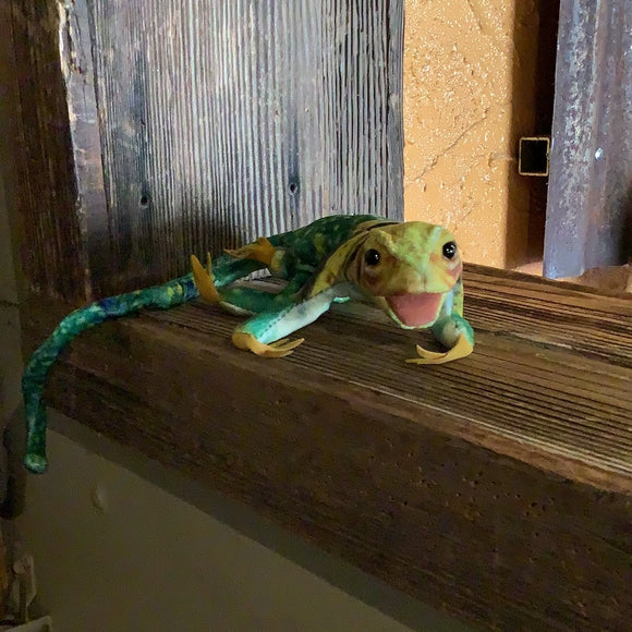 Colored lizard