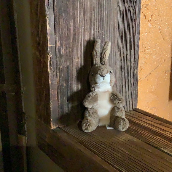 Mini Jack Rabbit