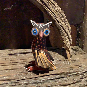 Wide-eyed Owls