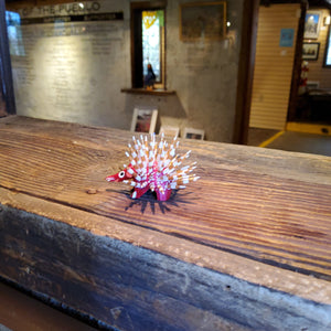 Mini Porcupine