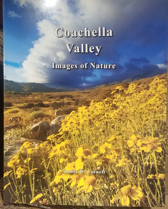 Coachella Valley Images of Nature