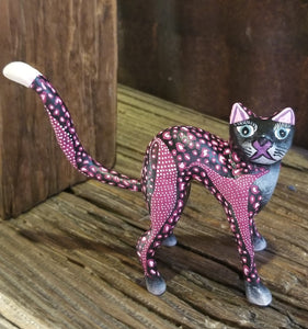 Arched Cat