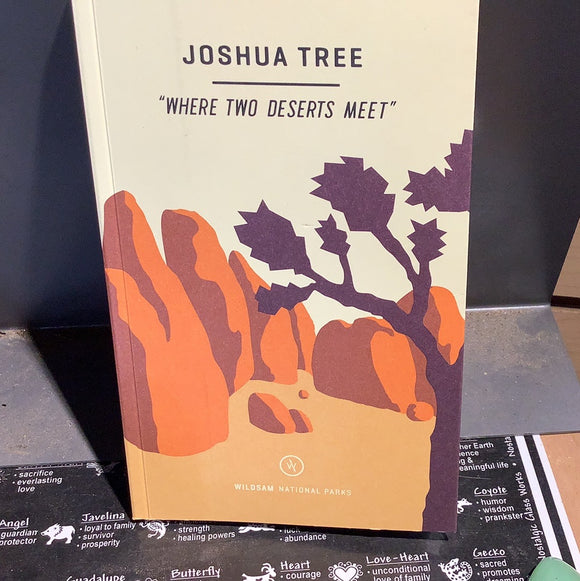 Joshua Tree: Where Two Deserts Meet